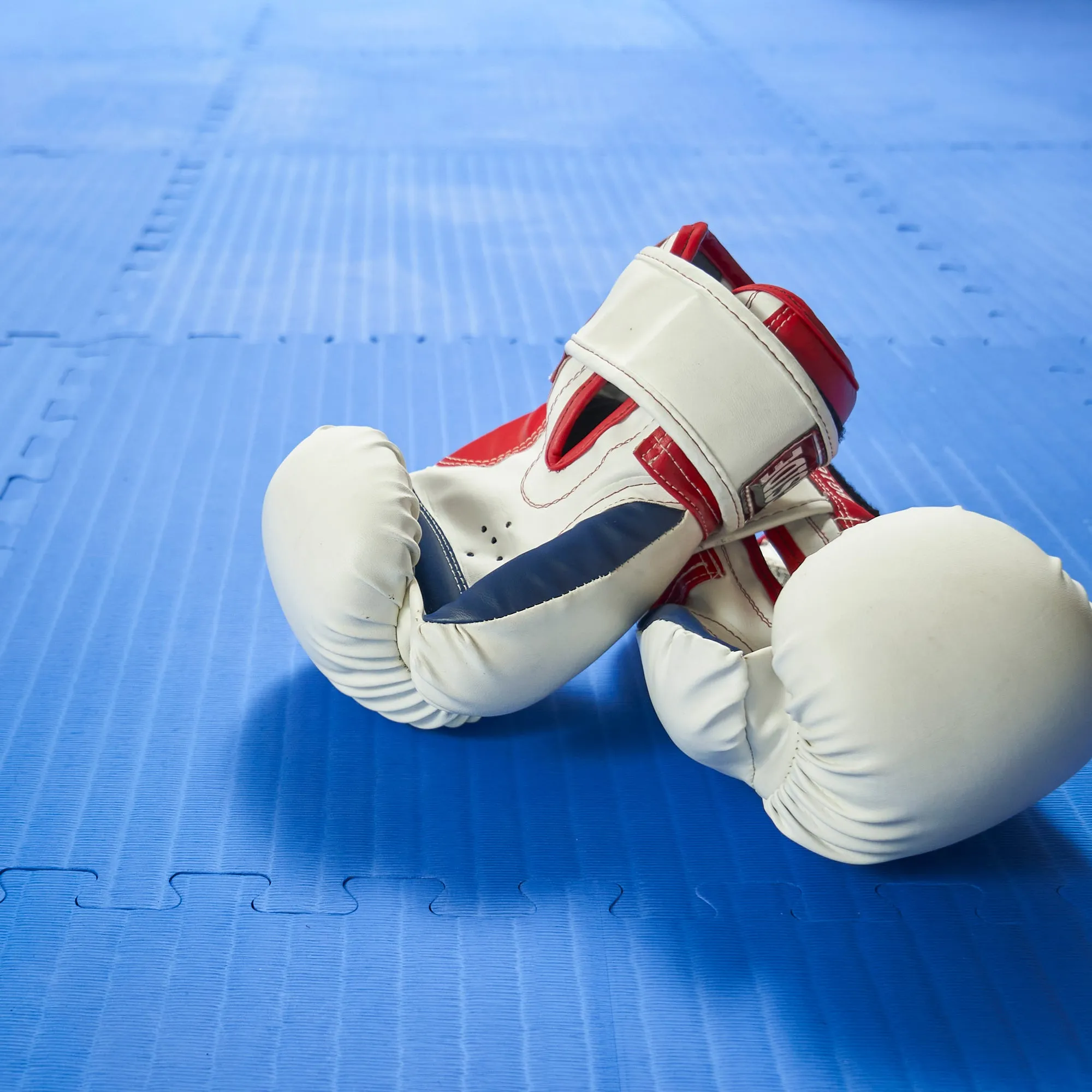 1" Thick Martial Arts Mats