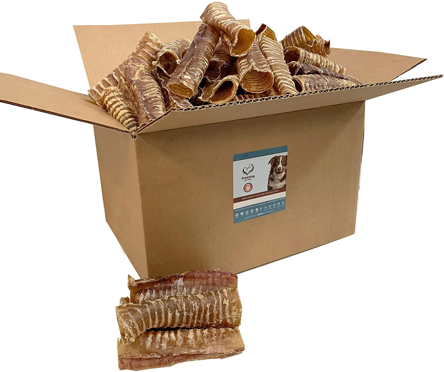 6" Beef Trachea Chews