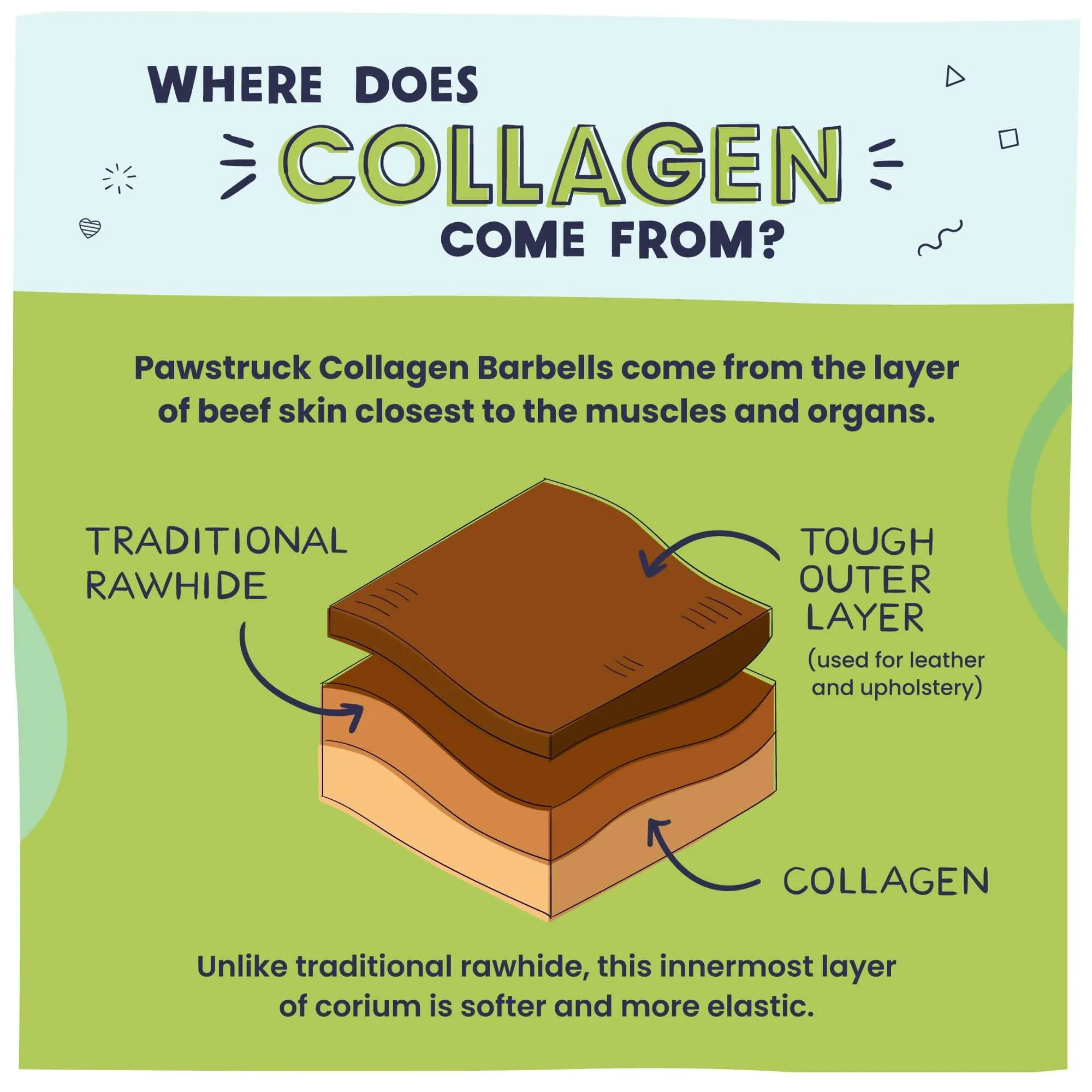 Beef Collagen Barbells