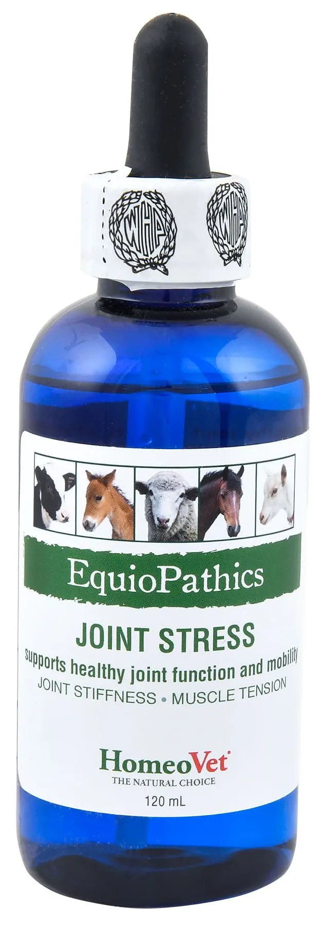 EquioPathics Joint Stress