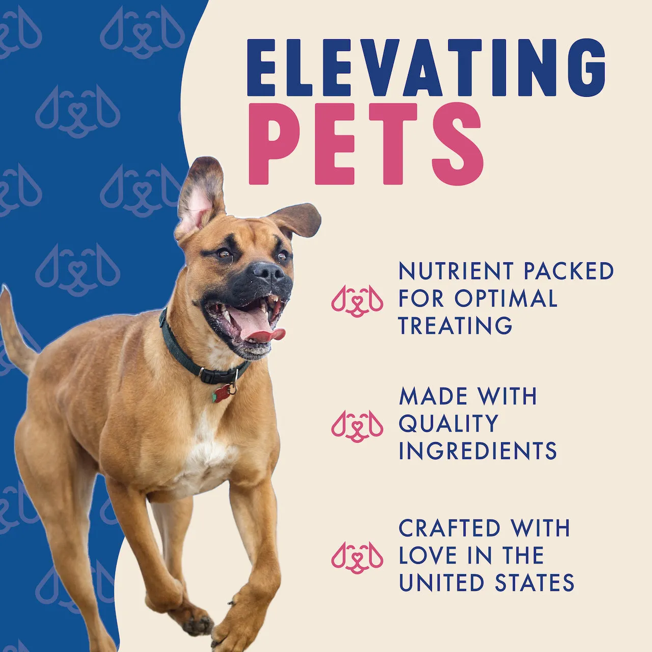 Finley's Turkey Recipe Soft Chew Training Bites