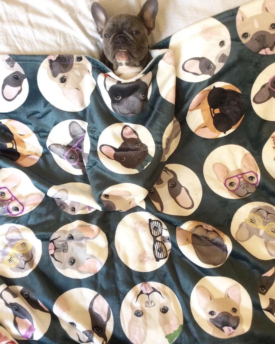 Frenchie Blanket | Frenchiestore | French Bulldogs Blue Polka Dots
