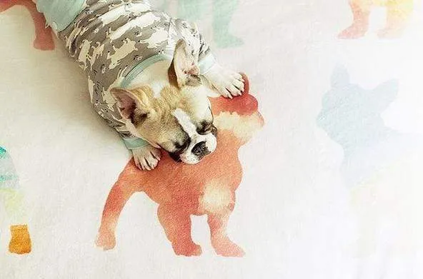 Frenchie Blanket | Frenchiestore | French Bulldogs in Watercolors