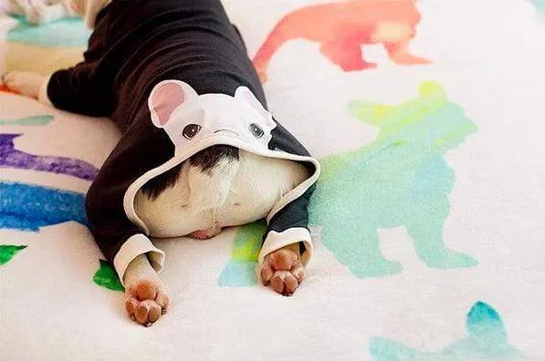 Frenchie Blanket | Frenchiestore | French Bulldogs in Watercolors