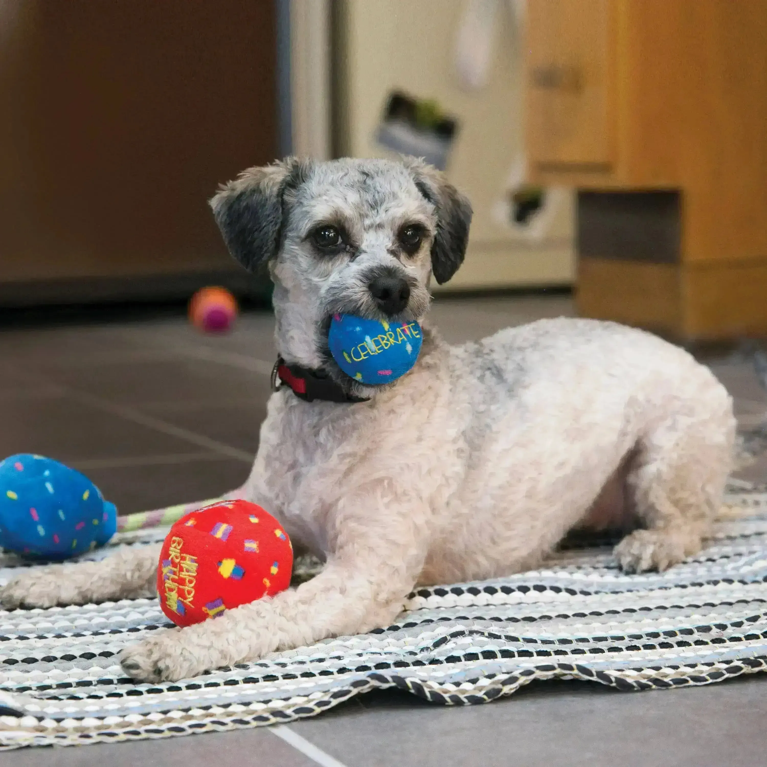 KONG - Occasions Birthday Balls (2/pack)