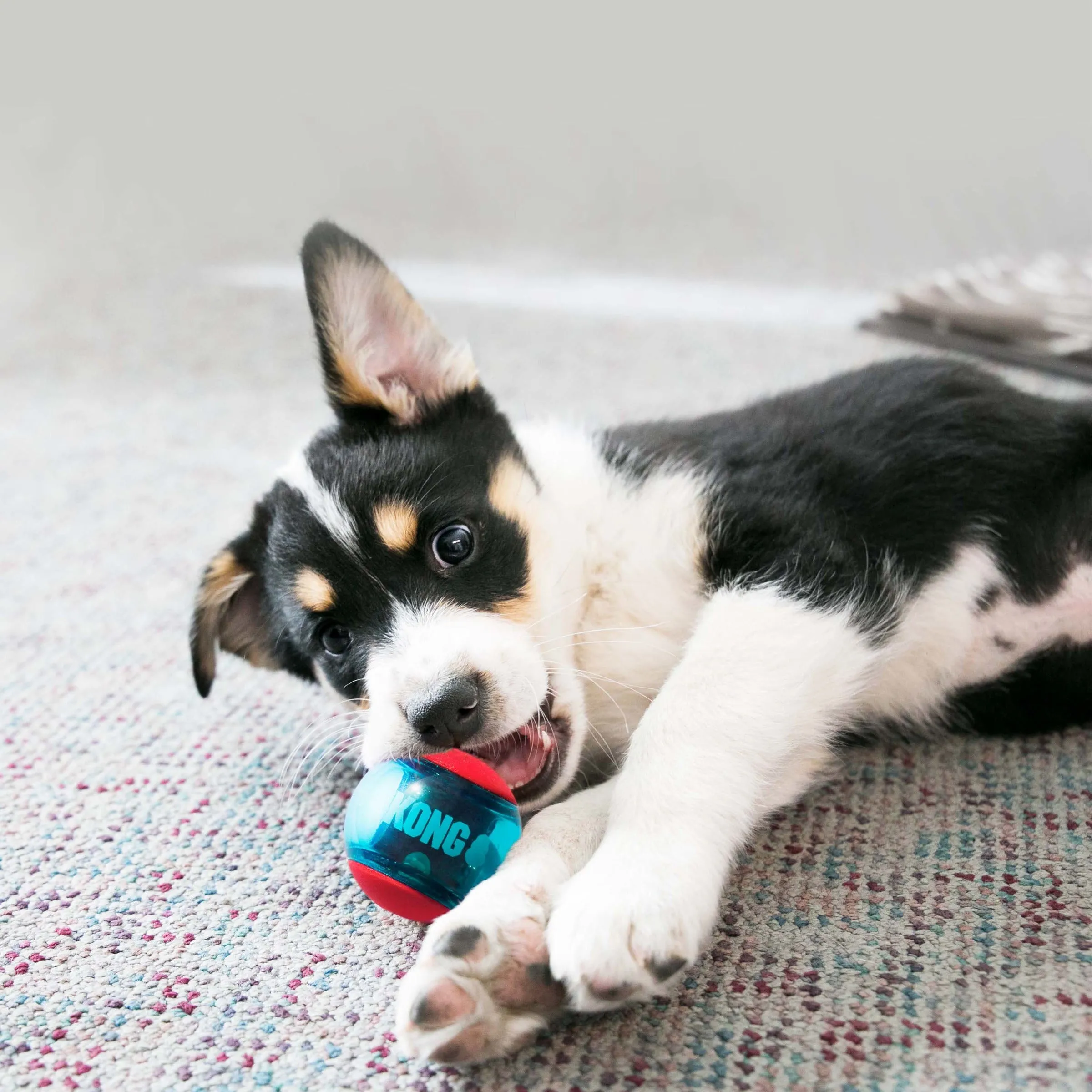 Kong Squeezz Action Ball Dog Toy