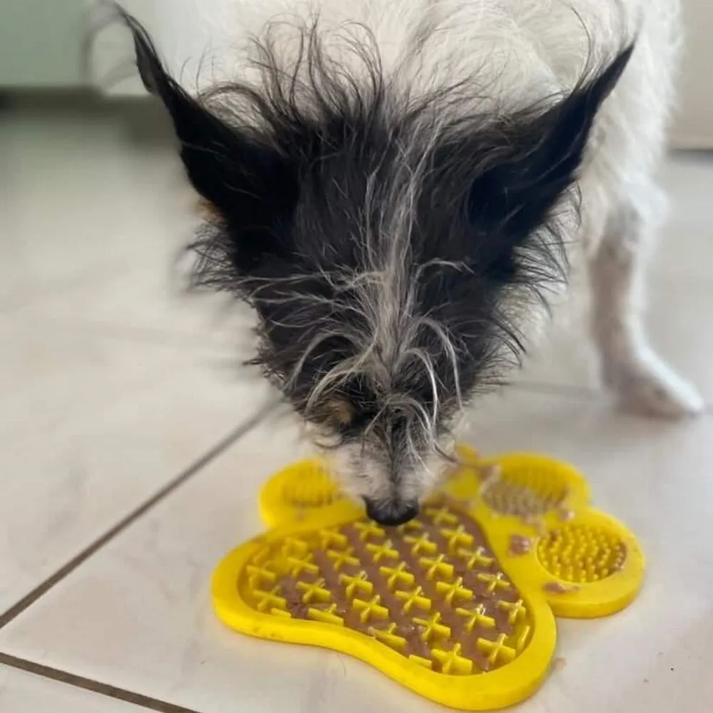 L'Barkery Pawtella