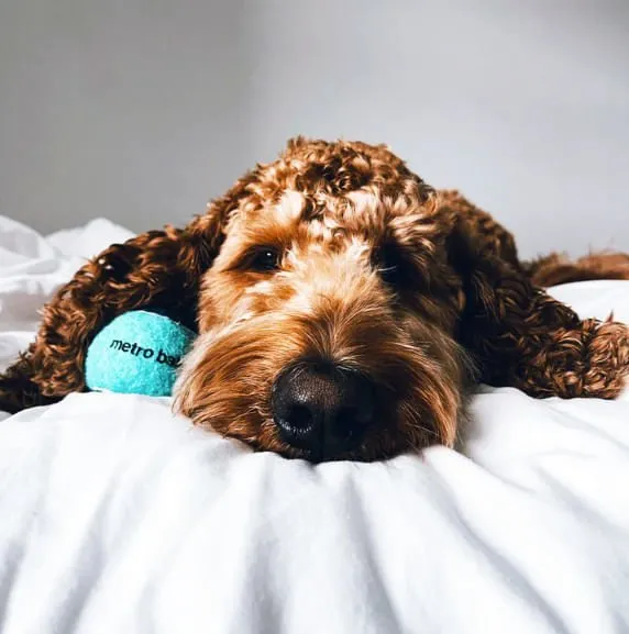 Metro Balls, 3 pk