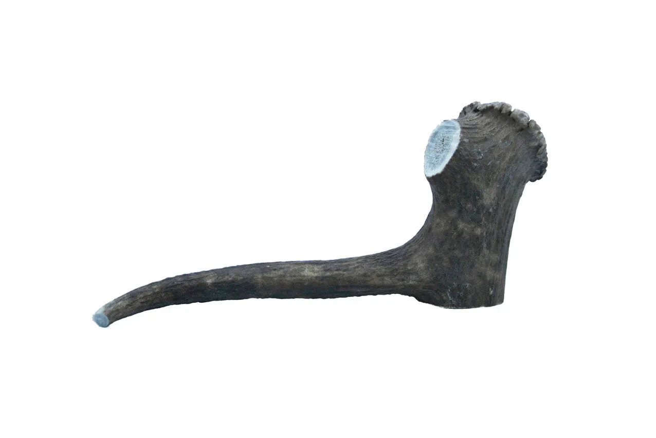 Natural Half Antler Dog Chew
