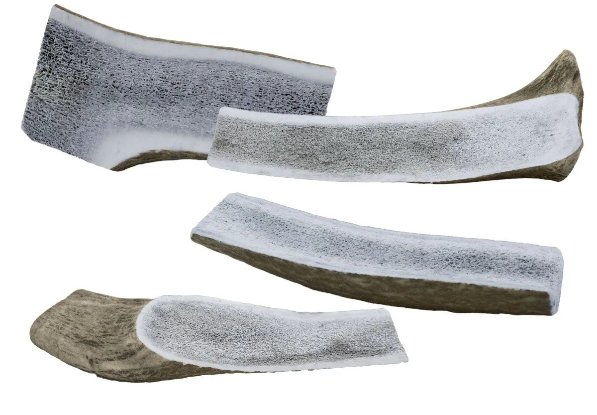 Natural Half Antler Dog Chew