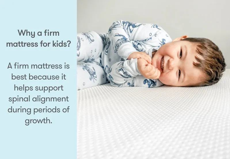 Newton Kids' Twin Mattress | Final Sale