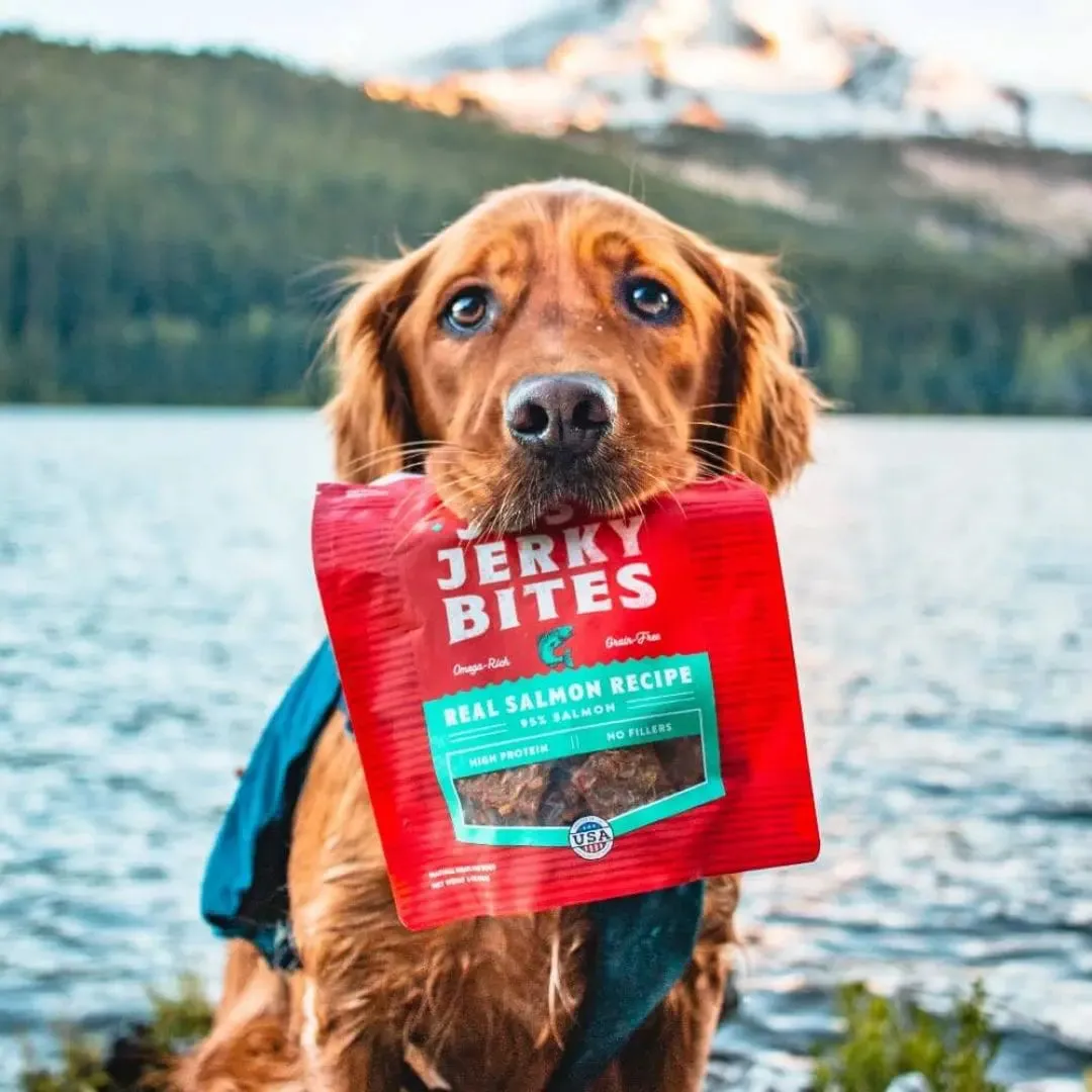 Stella & Chewy's Just Jerky Bites Salmon Recipe Dog Treats